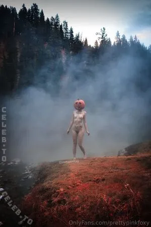 Prettypinkfoxy OnlyFans Leaked Free Thumbnail Picture - #VnNcFtEkJs