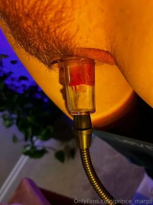 Prince Margo OnlyFans Leaked Free Thumbnail Picture - #jBVMiSDLar