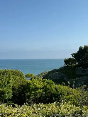 Princess And The Pea OnlyFans Leaked Free Thumbnail Picture - #xE6q8FfQXW