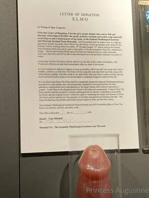 Princessaugustine OnlyFans Leaked Free Thumbnail Picture - #9mbmGqe7YW