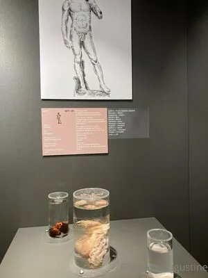 Princessaugustine OnlyFans Leaked Free Thumbnail Picture - #FMGHniog5l