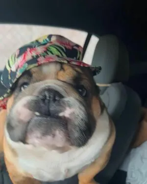 Princessemilyyyy OnlyFans Leaked Free Thumbnail Picture - #UFgw2HM4E9