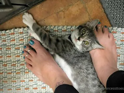 Princessttoes OnlyFans Leaked Free Thumbnail Picture - #QSM9FnAdDy
