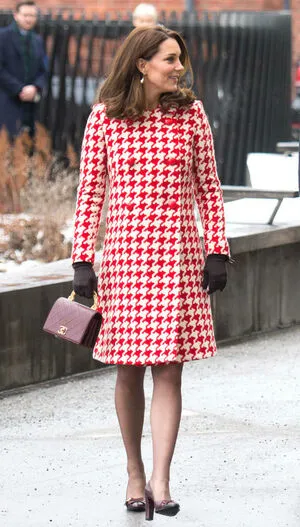 Princesswales OnlyFans Leaked Free Thumbnail Picture - #5HvZvpS4pW