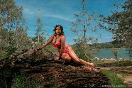 Privexpresents OnlyFans Leaked Free Thumbnail Picture - #TyqD1ZoORk