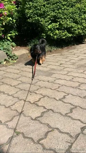 Profmankoski OnlyFans Leaked Free Thumbnail Picture - #8ZrQgyZWqe