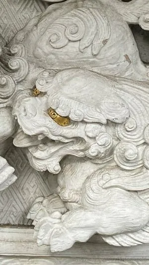 Profmankoski OnlyFans Leaked Free Thumbnail Picture - #JftUKtnIa5