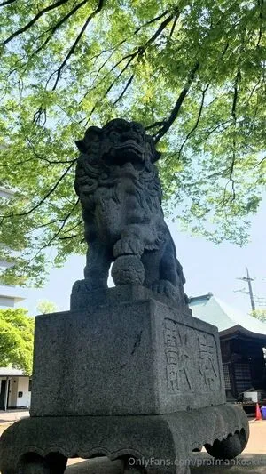 Profmankoski OnlyFans Leaked Free Thumbnail Picture - #Pb5Um4gWu2