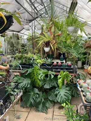 Profmankoski OnlyFans Leaked Free Thumbnail Picture - #fQbtEO0R2i