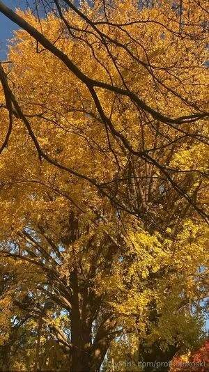 Profmankoski OnlyFans Leaked Free Thumbnail Picture - #rfdTFkv1CS