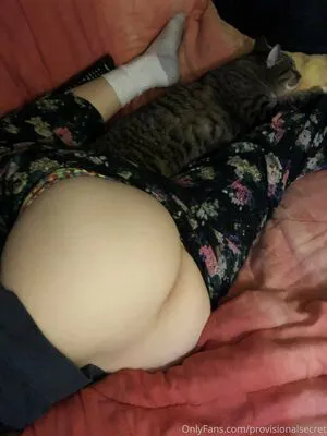 Provisionalsecret OnlyFans Leaked Free Thumbnail Picture - #ocw3NCIjqy