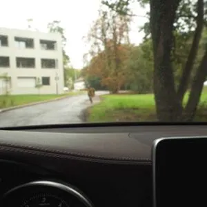 Public Agent OnlyFans Leaked Free Thumbnail Picture - #6tP5UAYpA8