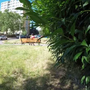 Public Agent OnlyFans Leaked Free Thumbnail Picture - #qjmFgK7txt