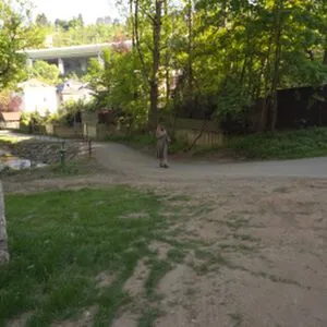 Public Agent OnlyFans Leaked Free Thumbnail Picture - #t5BeQGop3p