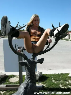 Publicflash Com OnlyFans Leaked Free Thumbnail Picture - #TneoVYCADQ