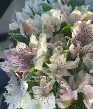 Pumpkin Pie OnlyFans Leaked Free Thumbnail Picture - #TKtqWbrofa