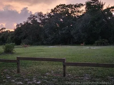 Pumpkinbby107 OnlyFans Leaked Free Thumbnail Picture - #N3rmGq5pSh