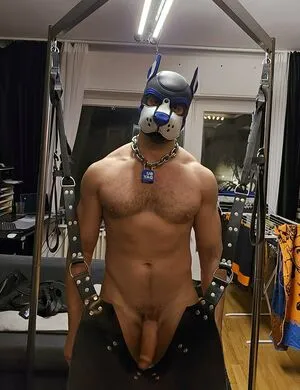 Pupbuday OnlyFans Leaked Free Thumbnail Picture - #1o0MX4zRtP