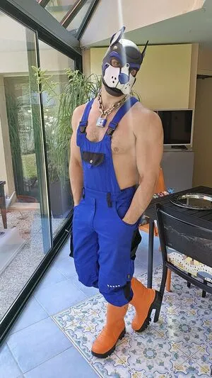 Pupbuday OnlyFans Leaked Free Thumbnail Picture - #2AftEkHtqQ