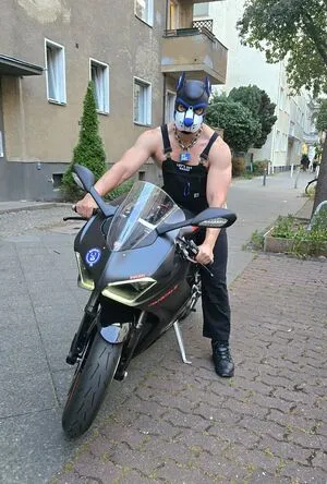 Pupbuday OnlyFans Leaked Free Thumbnail Picture - #5RH1axbb8P