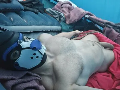 Pupbuday OnlyFans Leaked Free Thumbnail Picture - #N6owKdHjUH