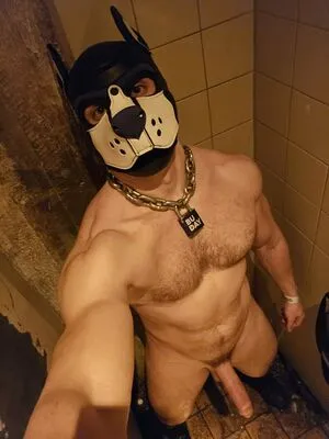 Pupbuday OnlyFans Leaked Free Thumbnail Picture - #ZuhVldInSL