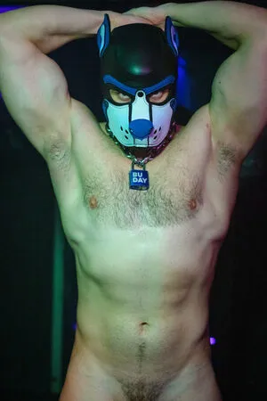 Pupbuday OnlyFans Leaked Free Thumbnail Picture - #fBiwy6iXeX
