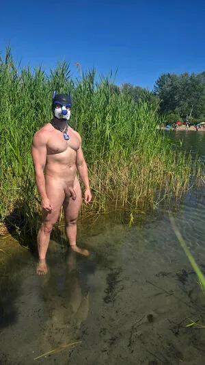 Pupbuday OnlyFans Leaked Free Thumbnail Picture - #nEA9I1ZE6K