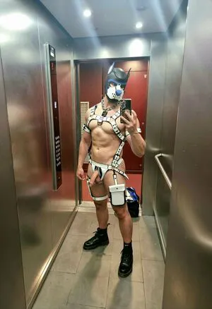 Pupbuday OnlyFans Leaked Free Thumbnail Picture - #paxjYzeEh0