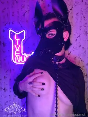 Pupmoth OnlyFans Leaked Free Thumbnail Picture - #EF5fIM8UcV