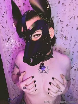 Pupmoth OnlyFans Leaked Free Thumbnail Picture - #REAXhcgSx1