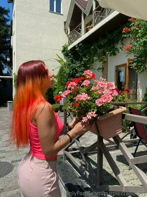 Purplecranberry OnlyFans Leaked Free Thumbnail Picture - #Y3AqIUpXVr