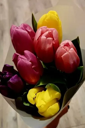 Purplecranberry OnlyFans Leaked Free Thumbnail Picture - #ghcPT6IDcz