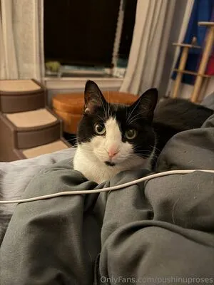 PushingUpRoses OnlyFans Leaked Free Thumbnail Picture - #395XvvCQ2q