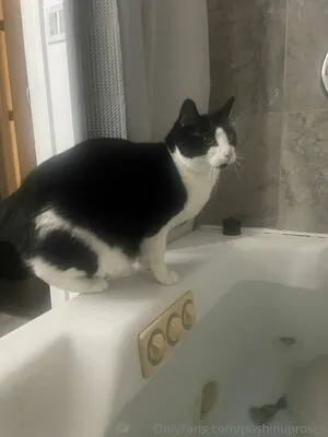 PushingUpRoses OnlyFans Leaked Free Thumbnail Picture - #6i0MtUvdHe