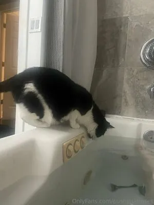 PushingUpRoses OnlyFans Leaked Free Thumbnail Picture - #WSuTBKkOD1