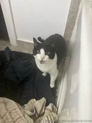 PushingUpRoses OnlyFans Leaked Free Thumbnail Picture - #cfpqfUC1xM