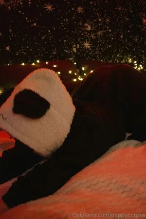 Pxppycorpse OnlyFans Leaked Free Thumbnail Picture - #gvw4xOA6cD