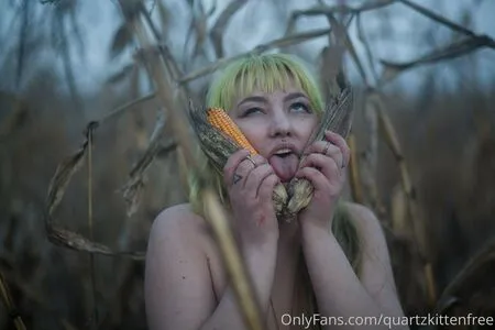Quartzkittenfree OnlyFans Leaked Free Thumbnail Picture - #a6j1OmJkvN