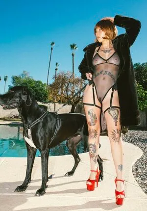 Quinn OnlyFans Leaked Free Thumbnail Picture - #Y1ig7Mumwt