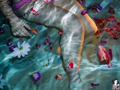 Quinne OnlyFans Leaked Free Thumbnail Picture - #t1zZEhLV1D