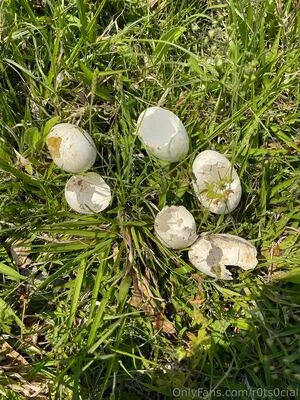 R0ts0cial OnlyFans Leaked Free Thumbnail Picture - #1aBre5LE8v