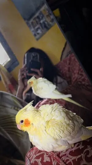 R1 021 OnlyFans Leaked Free Thumbnail Picture - #3GVCfwexrO