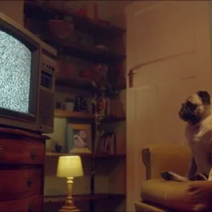 Rachael Cavalli OnlyFans Leaked Free Thumbnail Picture - #LbKzoBQ3Lm