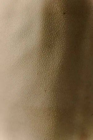 Rachelpizzolato OnlyFans Leaked Free Thumbnail Picture - #KYN4vQpVyP