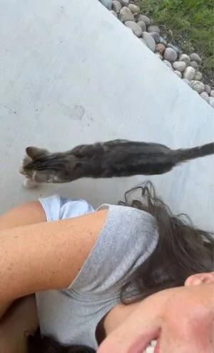 Rae Cambra OnlyFans Leaked Free Thumbnail Picture - #hz9hwpeOmF