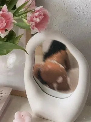 Raikrishad4l OnlyFans Leaked Free Thumbnail Picture - #39u58h4tXc