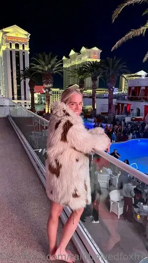 Rainbowedfoxfree OnlyFans Leaked Free Thumbnail Picture - #J1lux8WLdx