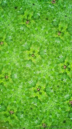 Rainewyrm OnlyFans Leaked Free Thumbnail Picture - #5qGjlPWkkP