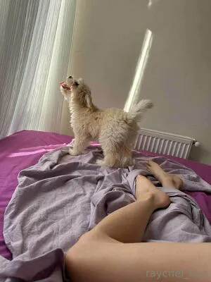 Raychel Kiss OnlyFans Leaked Free Thumbnail Picture - #PLPz98XFZc
